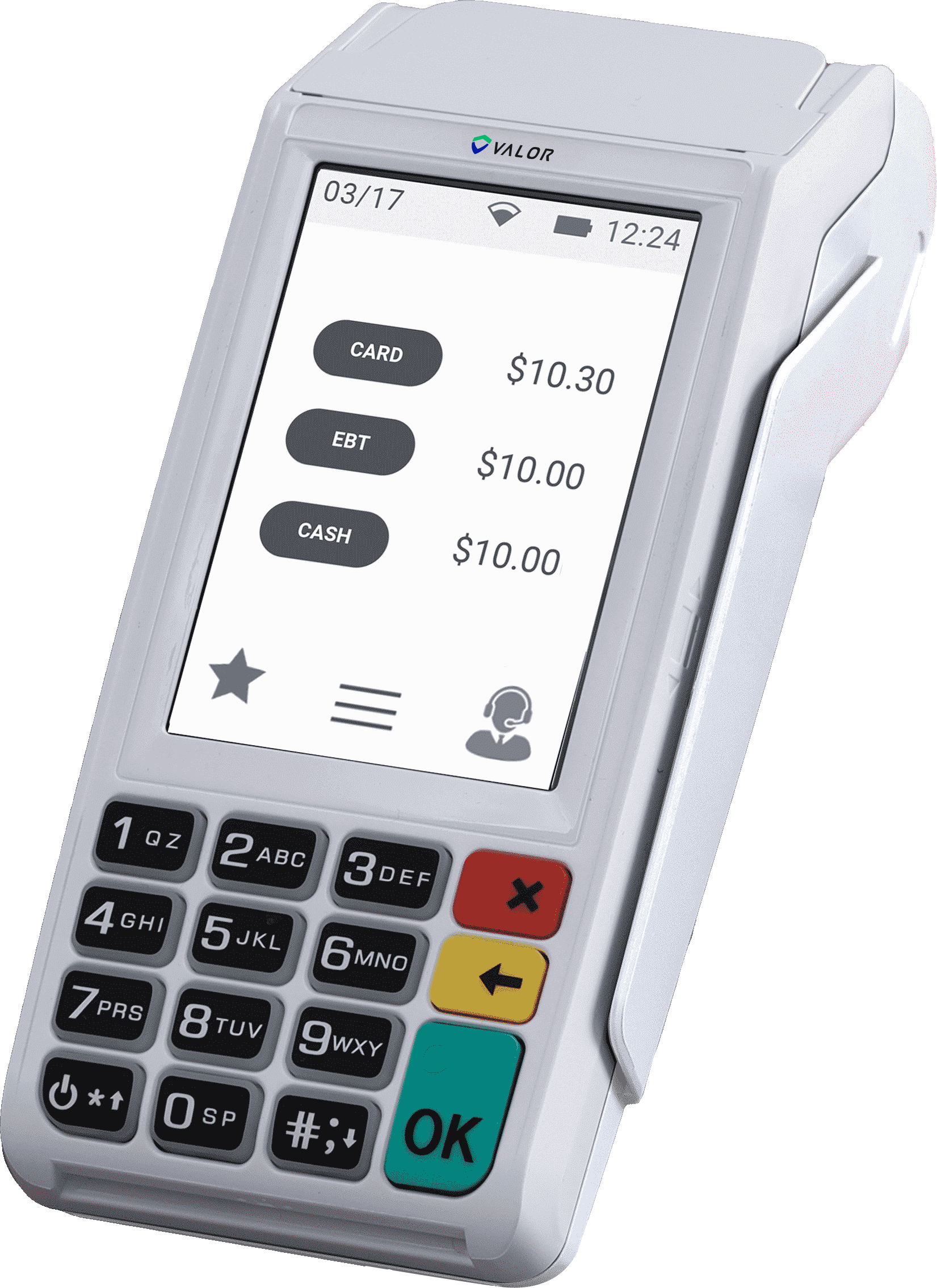 VL110 portable POS accepting cards and e-wallets